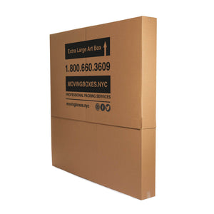 Extra-Large Picture/ Mirror Box