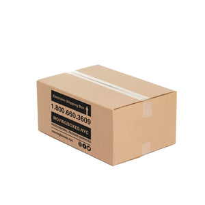 Electronics Box 21" x 14" x 9" (2.7 c/f)